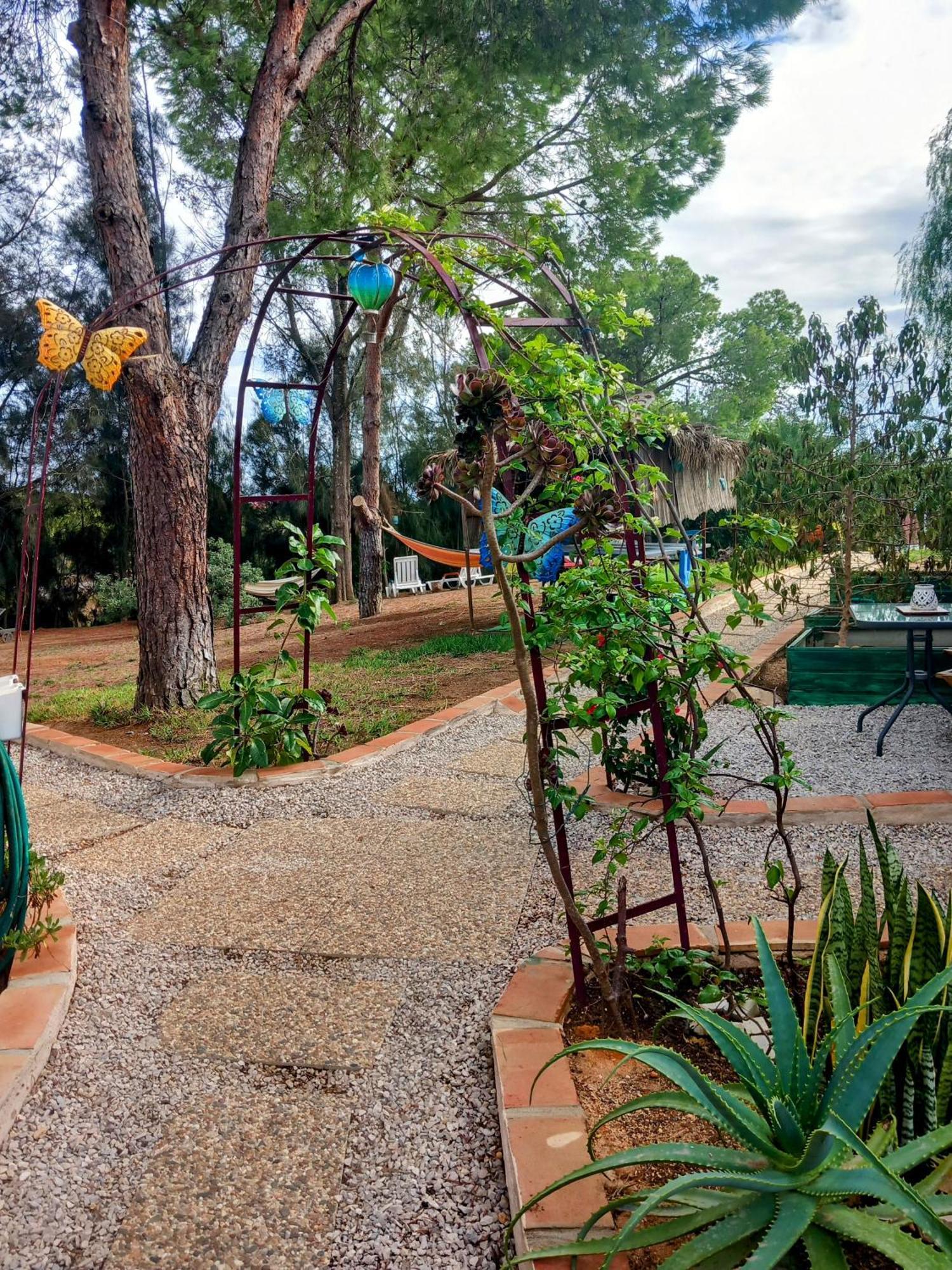 Romance Valdareina, Piscine Chauffee, Benagil-Carvoeiro Карвоейру Екстер'єр фото